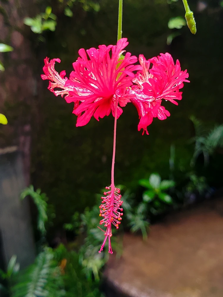 由sebastian上传的图片