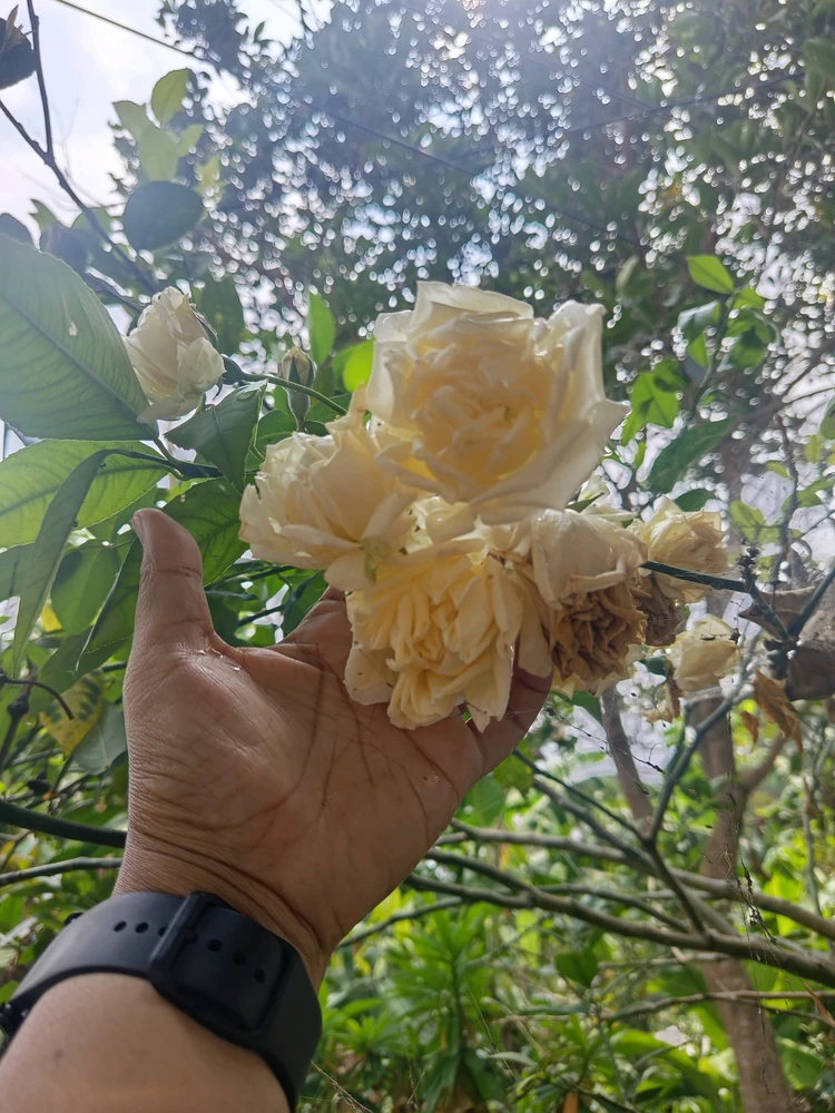 GIF diunggah ku Wulan