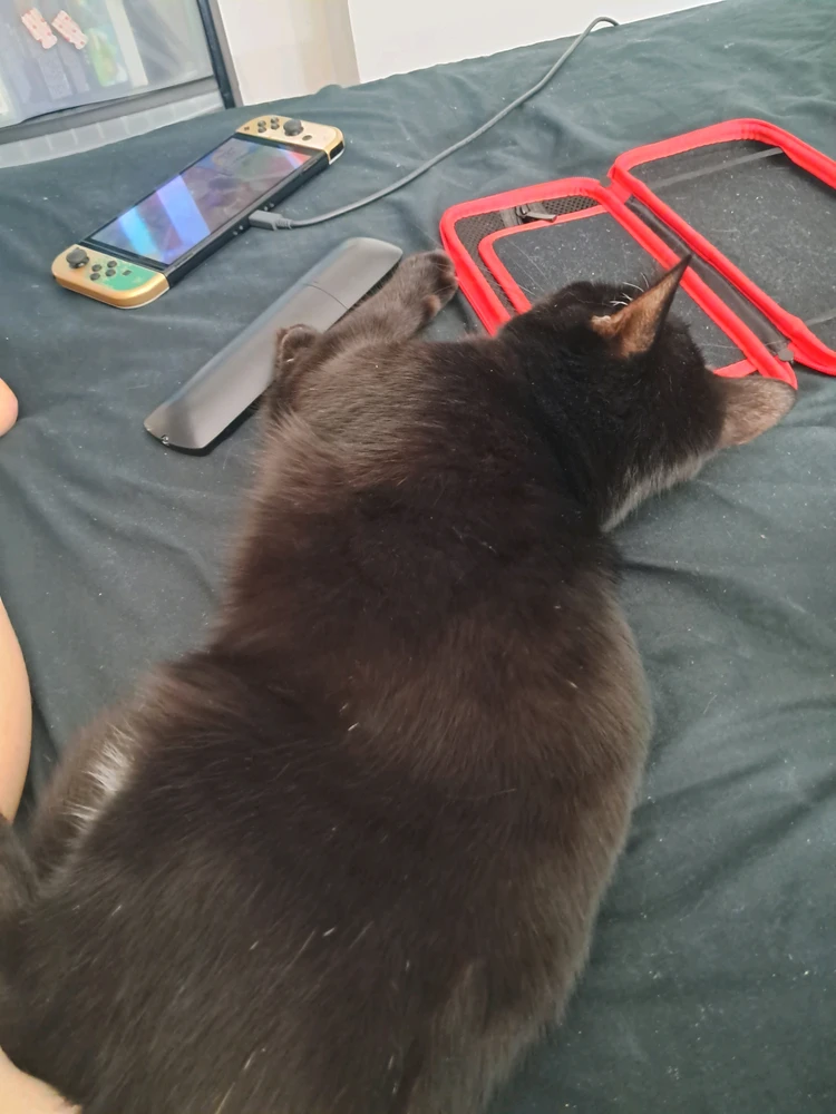 GIF učitao/la Raymund
