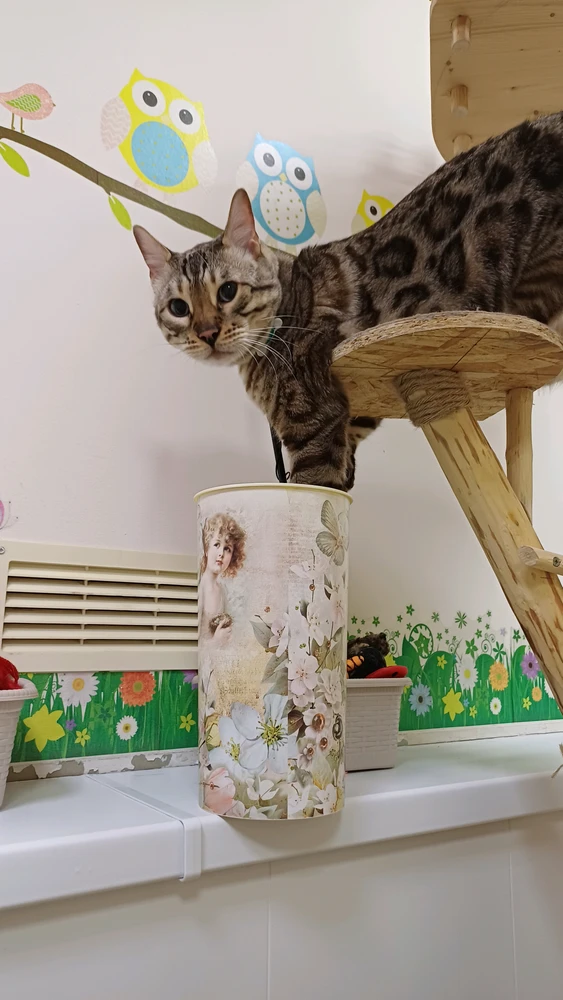 Евгения上传的GIF