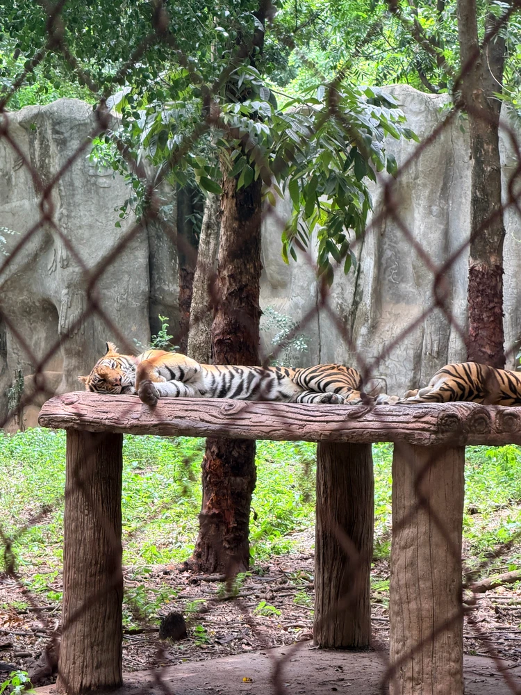 GIF na in-upload ni LKS