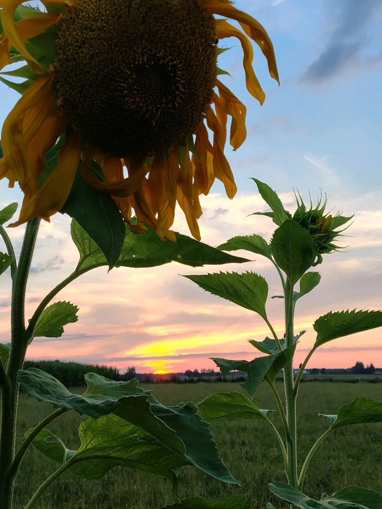 GIF uploaded by Marcin