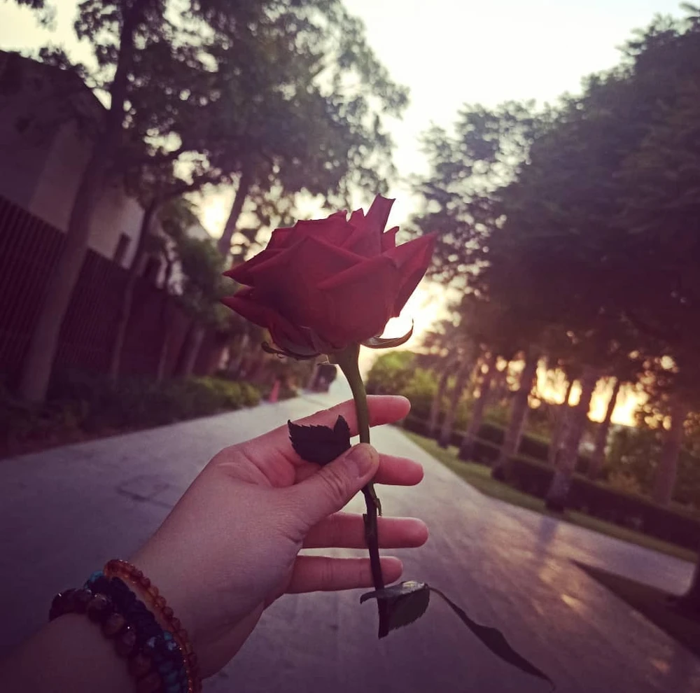 GIF uploaded by kris