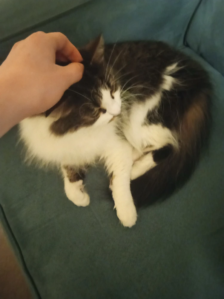GIF hochgeladen von William