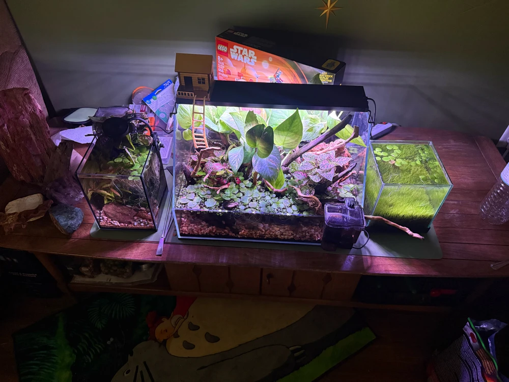 Image uploaded by Kyle
