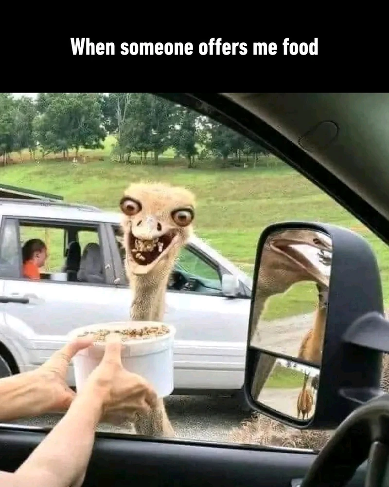GIF ארויפגעלאדן דורך Pho Qing Mei Taji 🤣