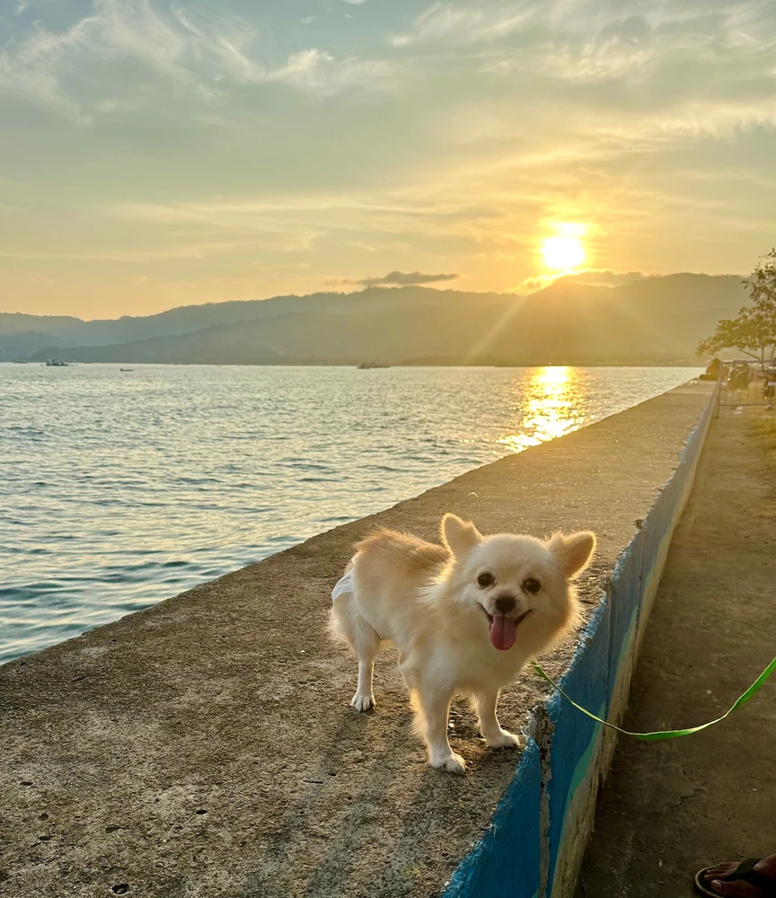GIF uploaded by rea