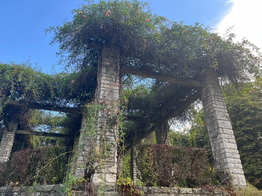 Magdalena上傳的圖片