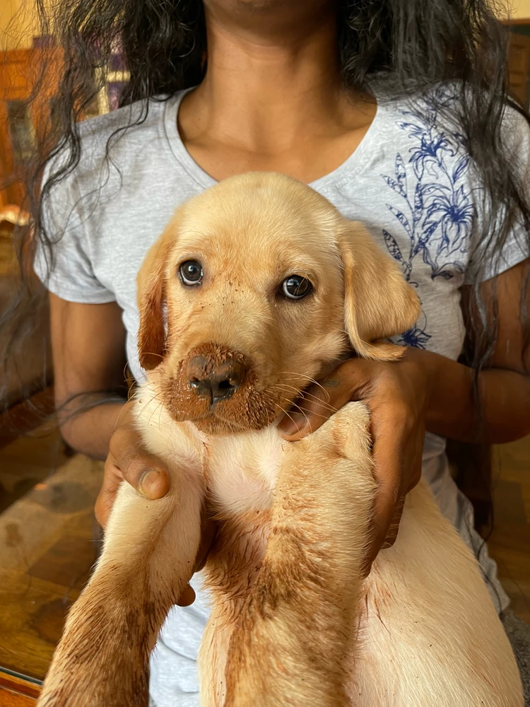 GIF uploaded by Shiv