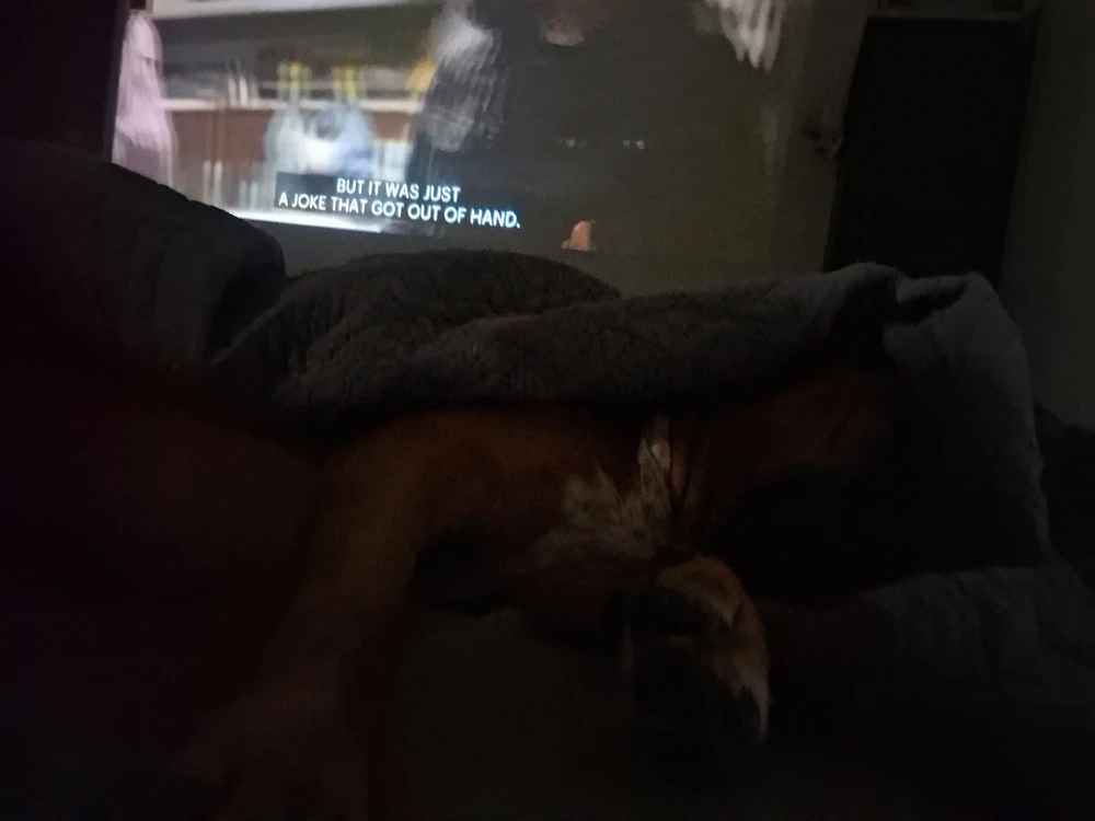 GIF eropgeluede vum Will