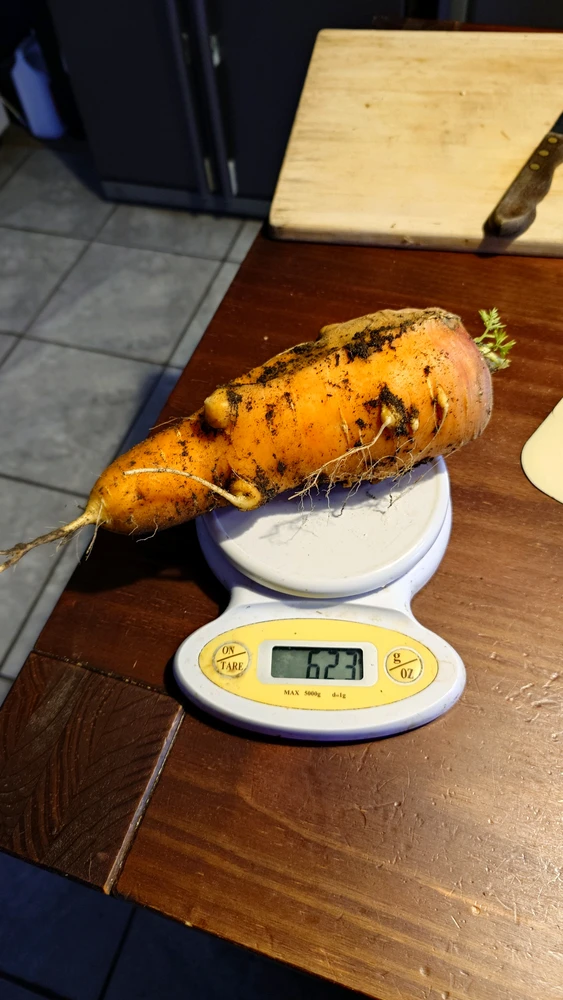 GIF загрузил CheffieGR