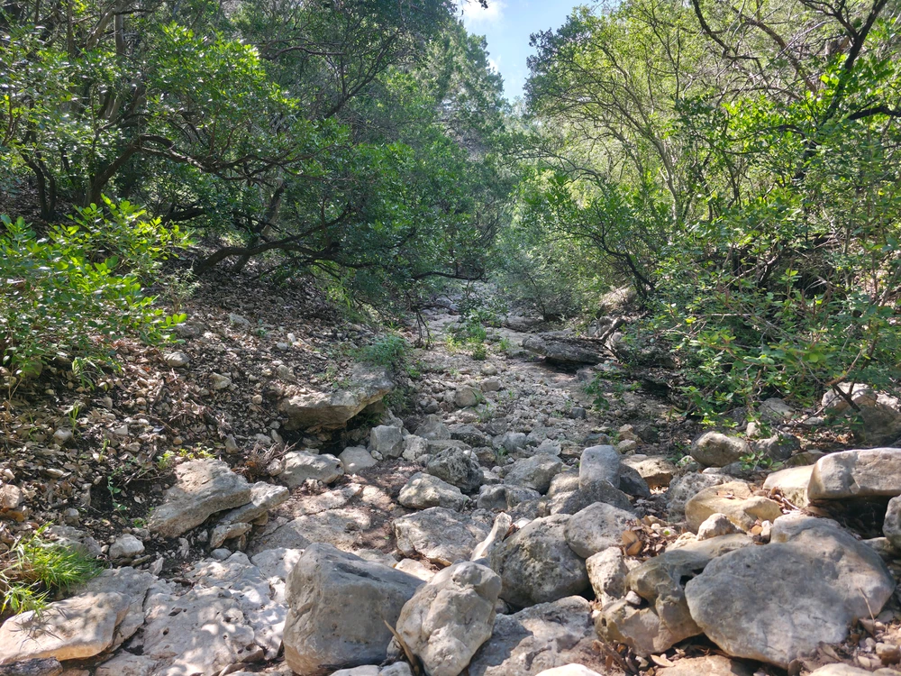 Government Canyon, San Antonio, TX