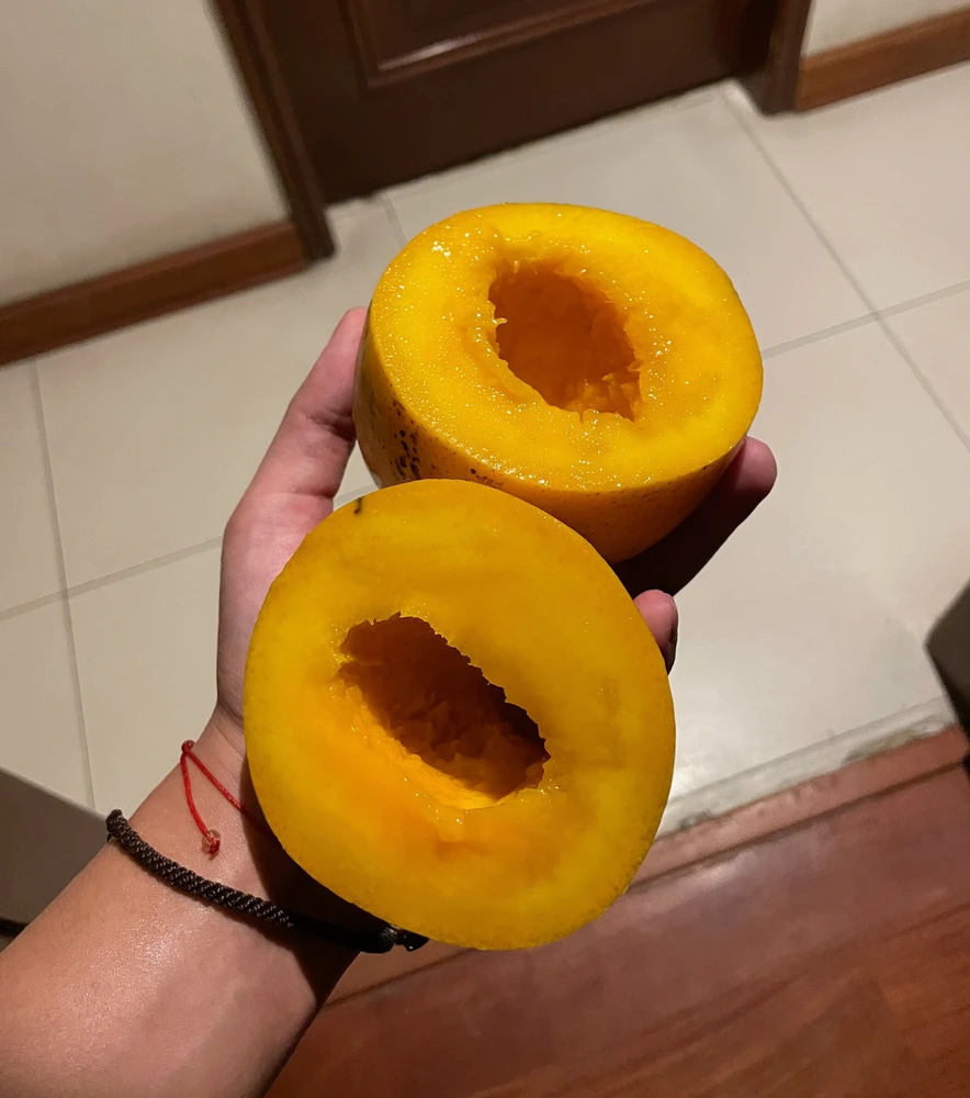 pol আপলোড করা GIF