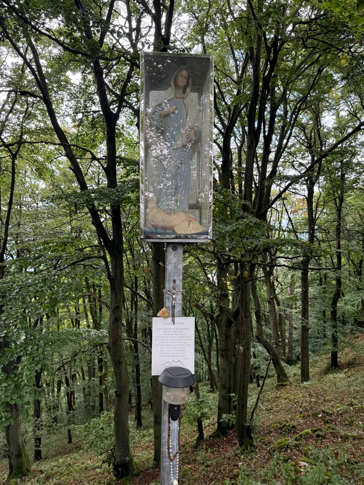 Imazhi u ngarkua nga AlexGr
