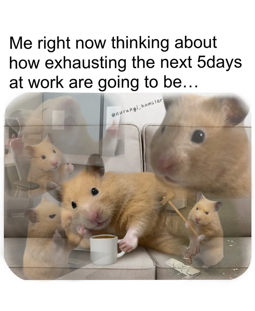 GIF nahrál Mayur