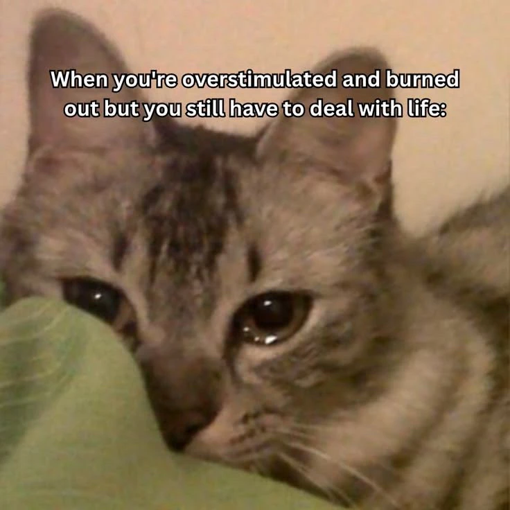 GIF na in-upload ni Stasya