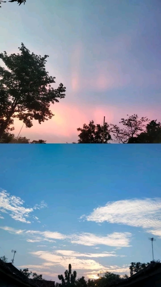 La Fresa上传的GIF