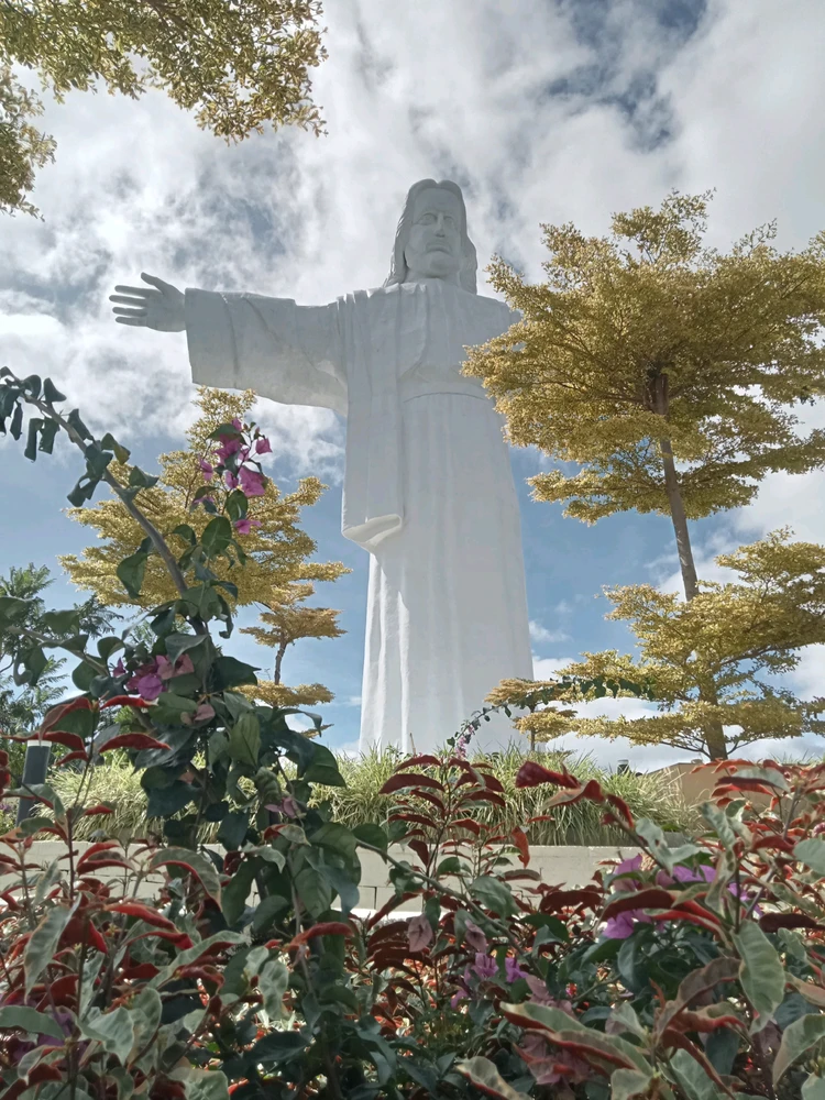 Imagem enviada por Rut Setlight