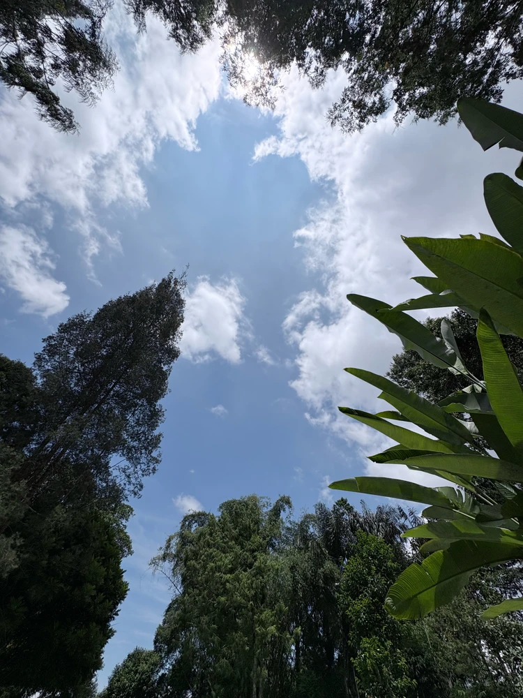 Len විසින් උඩුගත කළ රූපය
