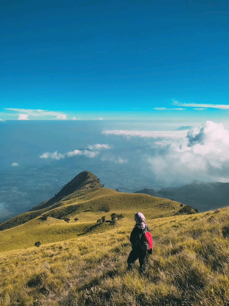 Hiking Merbabu