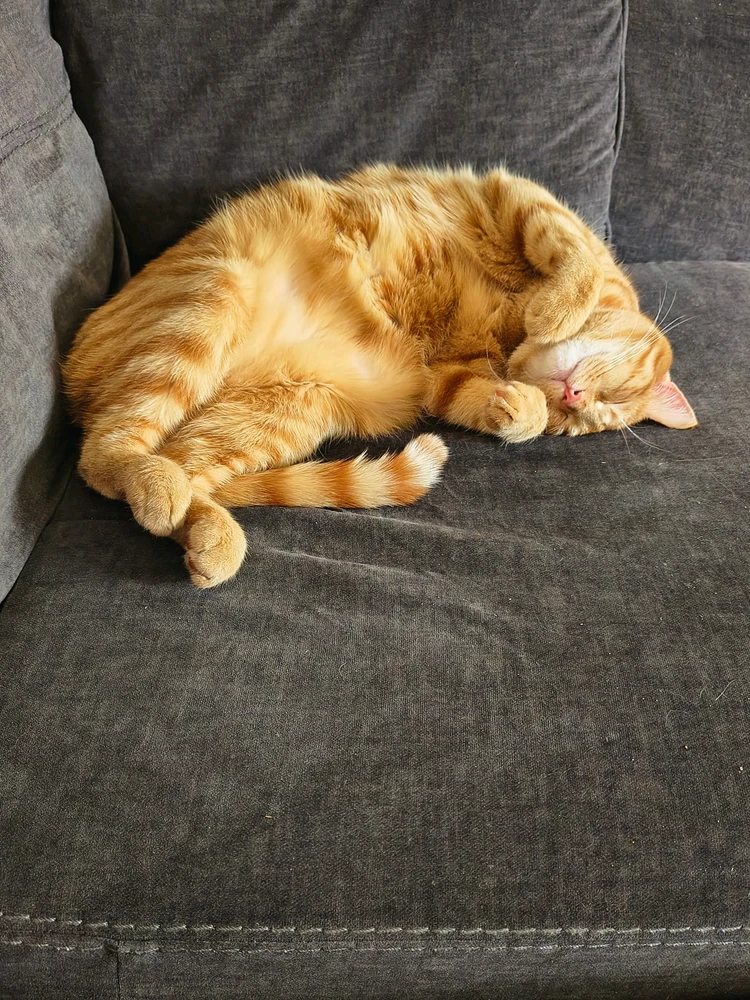 I-GIF ilayishwe ngu-Caleb