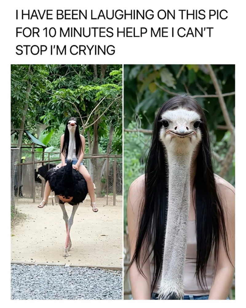 GIF tso los ntawm Yuli