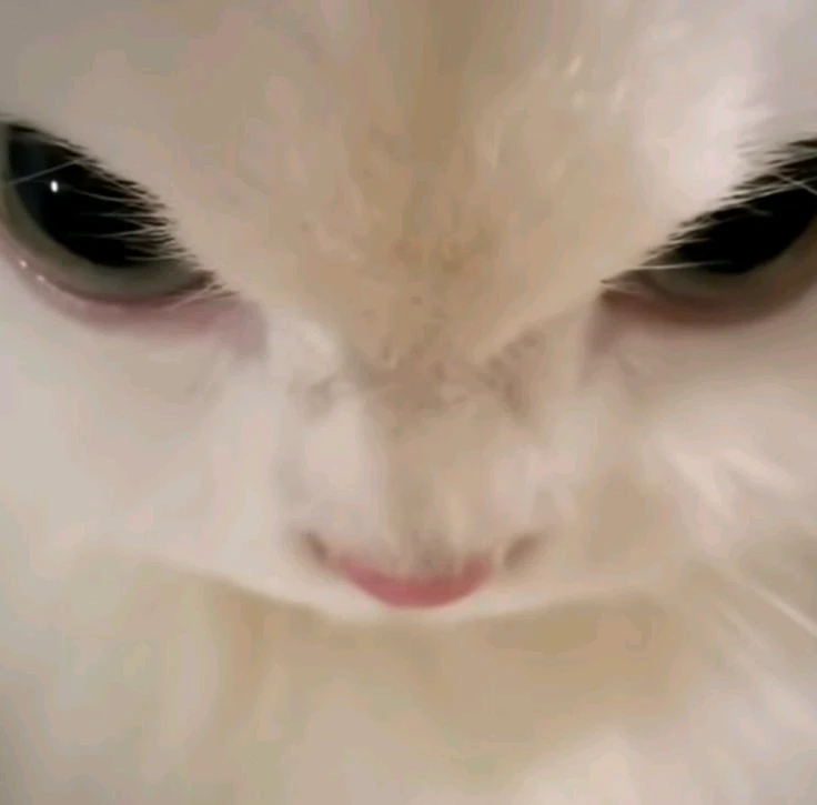 GIF eropgeluede vum Faila