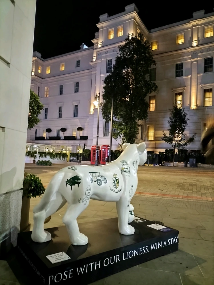 GIF-ი ატვირთა Mhizz-მ