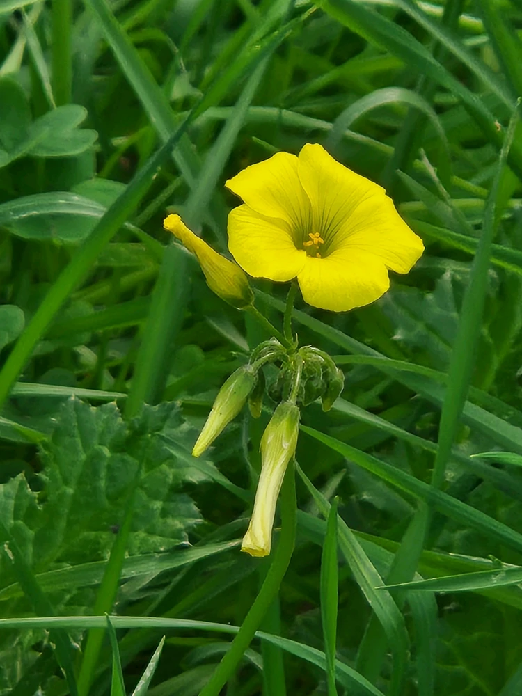 GIF nahrál Elle