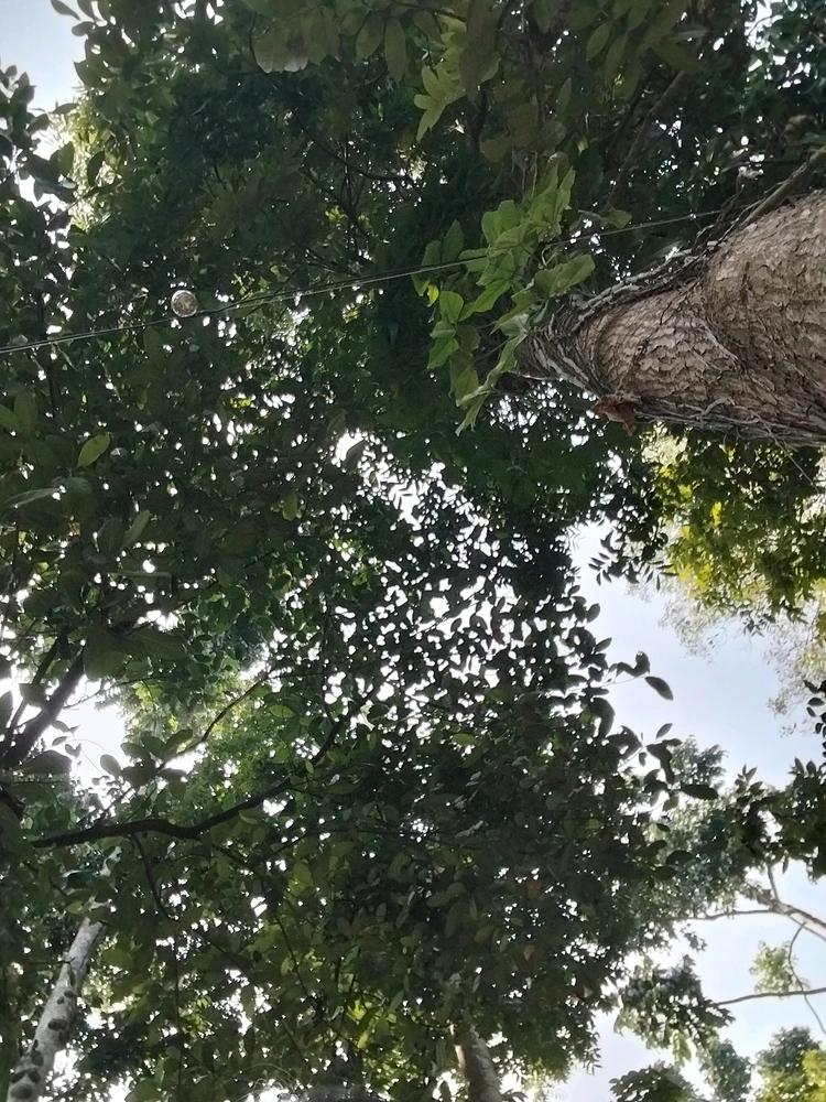 Anna ಅಪ್‌ಲೋಡ್ ಮಾಡಿದ GIF