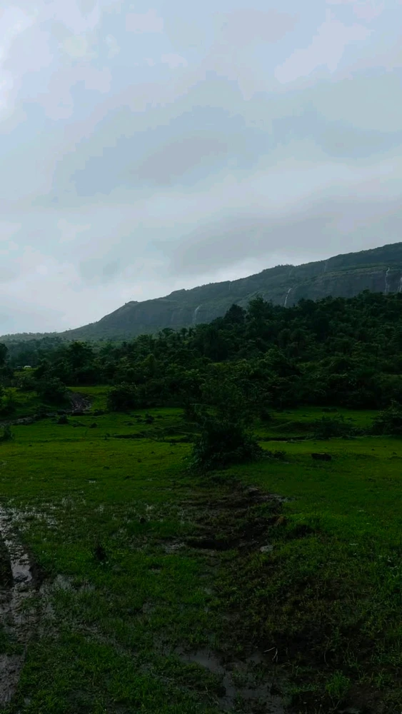 Sachin(e)k igotako irudia