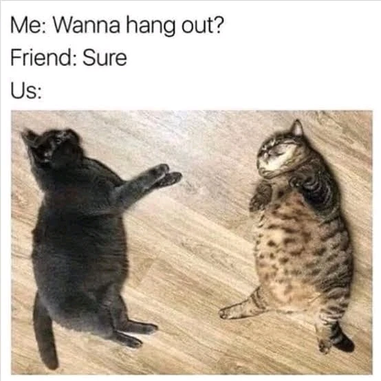 GIF e kentsoeng ke ꨄ𝐃ꨄ