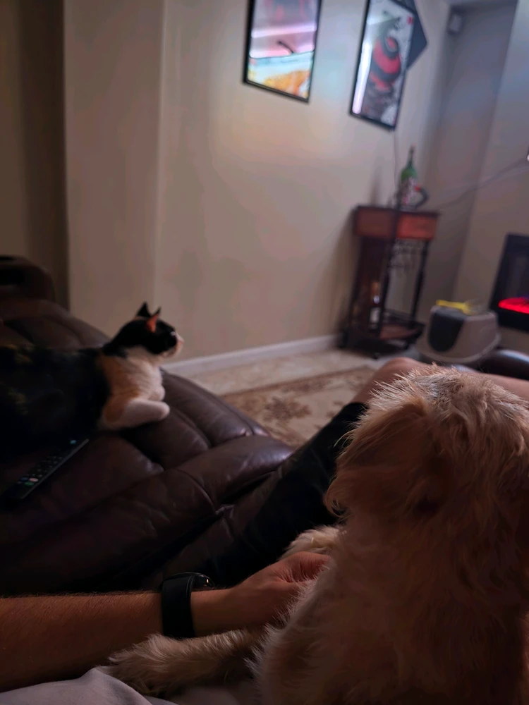 GIF uploaded by Kelvin