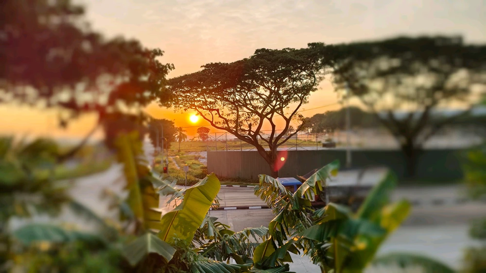 Work view 