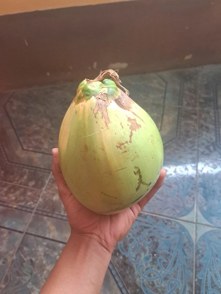 GIF yaikidwa ndi Samuel