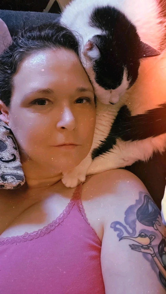 GIF-tiedoston lisäsi Lauren