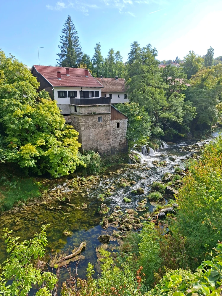 Image uploaded by Jurica