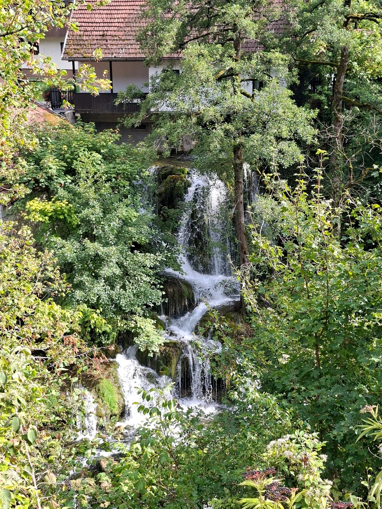 Image uploaded by Jurica