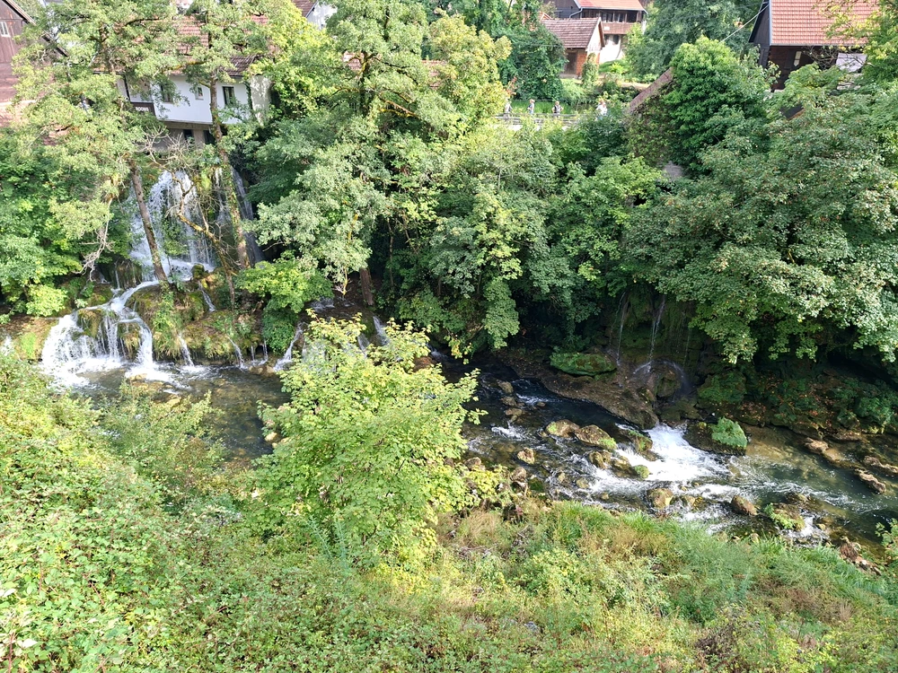 Image uploaded by Jurica