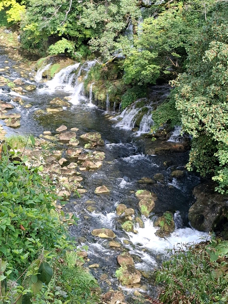 Image uploaded by Jurica