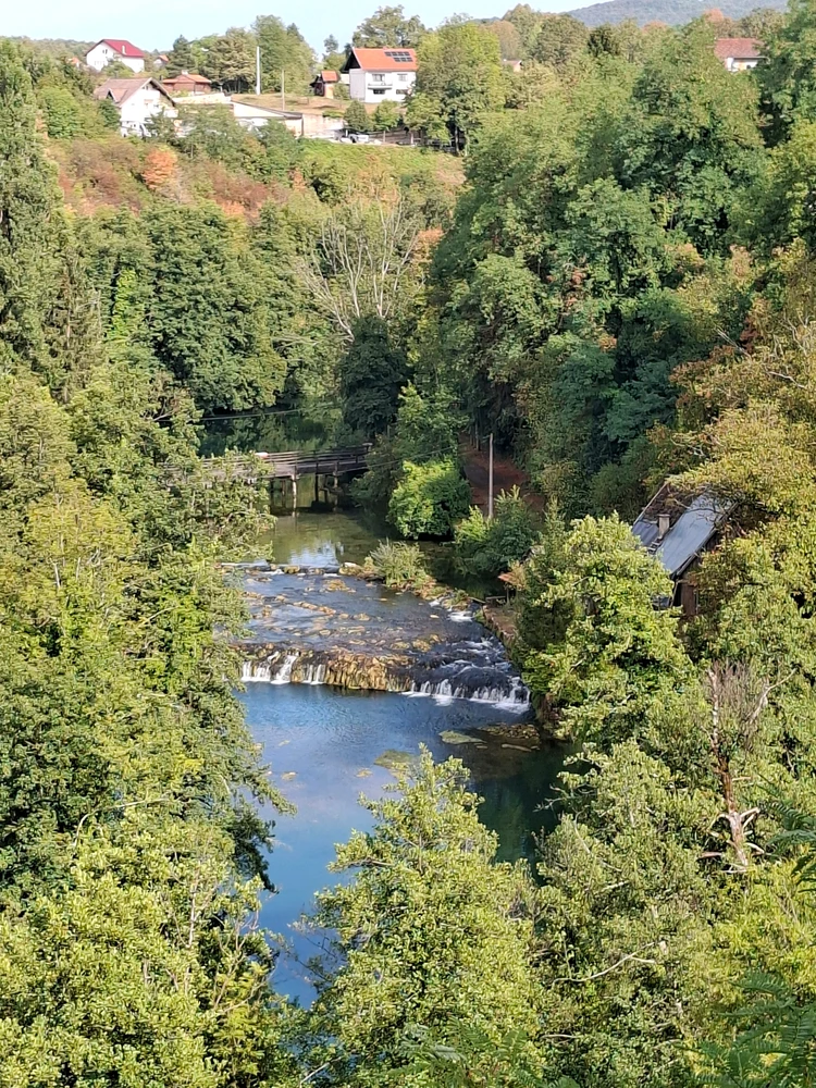 Image uploaded by Jurica