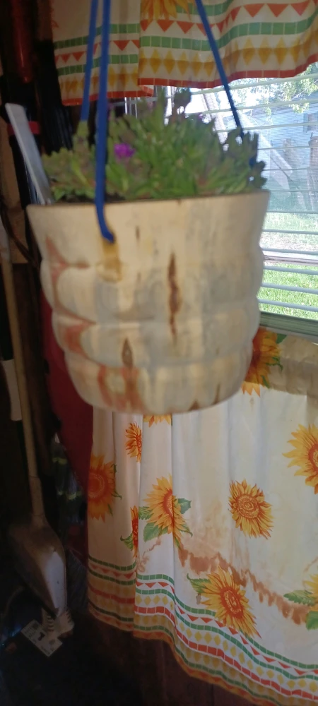Jason ಅಪ್‌ಲೋಡ್ ಮಾಡಿದ ಚಿತ್ರ