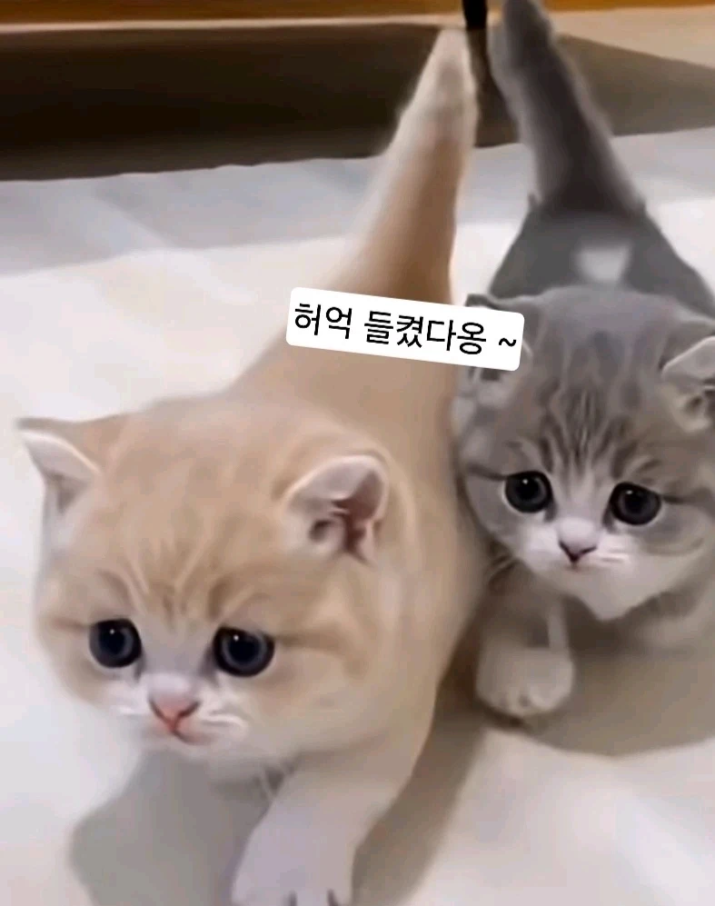 Jack님이 올린 GIF