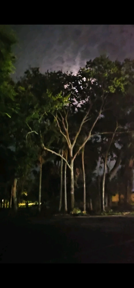 GIF uploaded by Chad