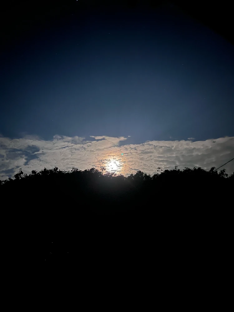 GIF uploaded by T
