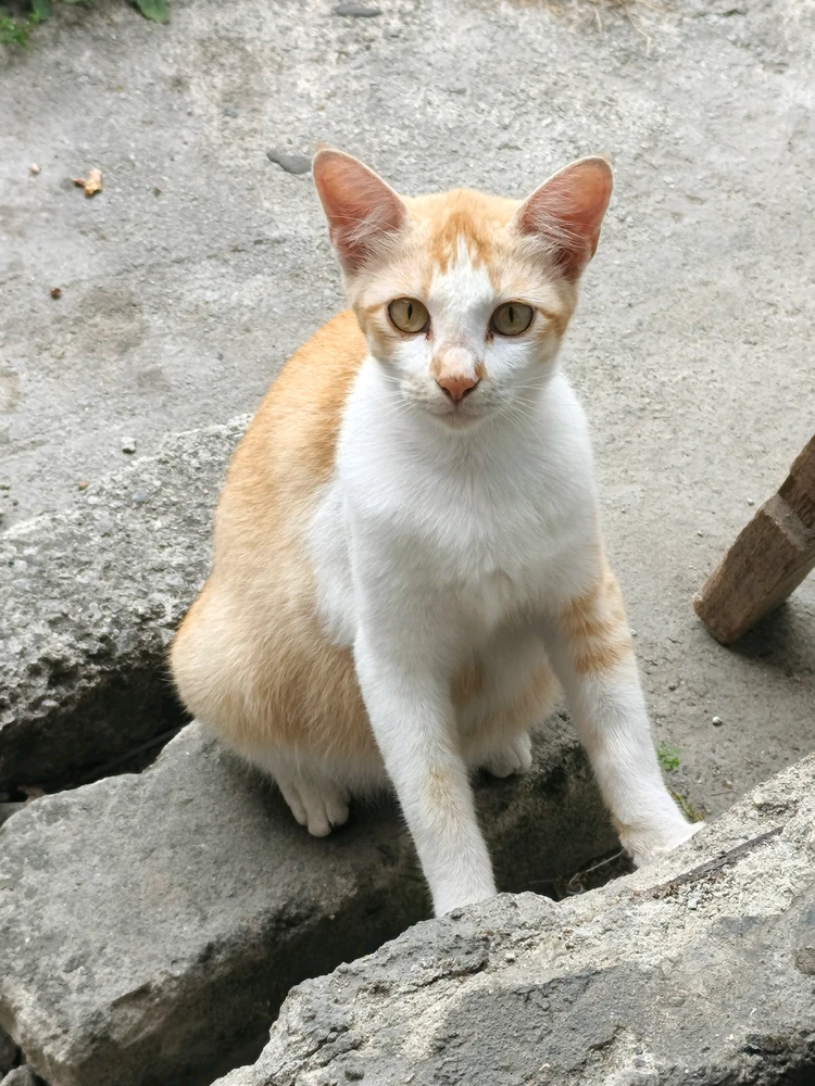 GIF uploaded by Suli