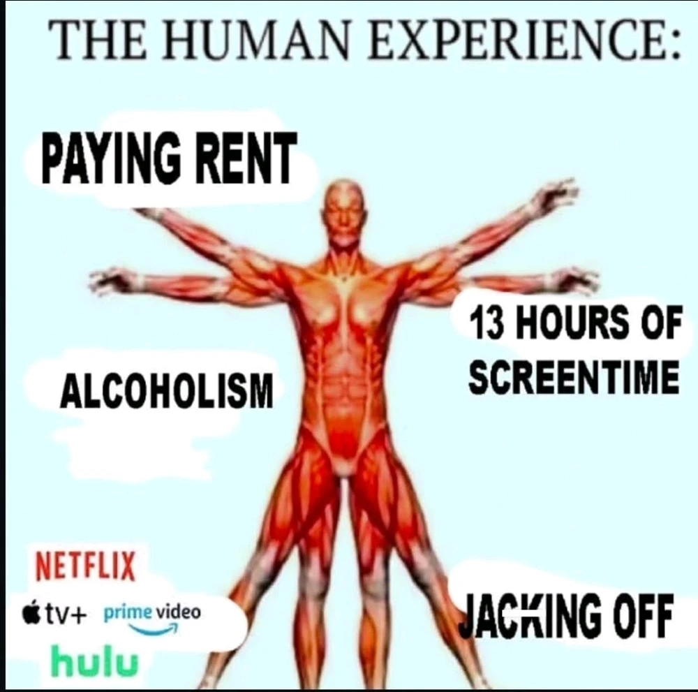 GIF nahral TOM