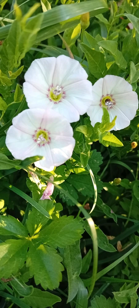 GIF uploaded by Kas