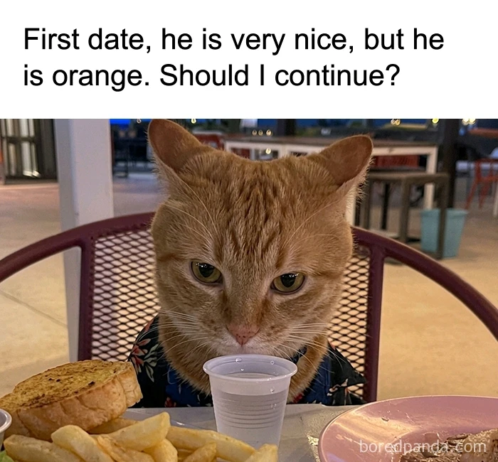 GIF uploaded by Benjiggity