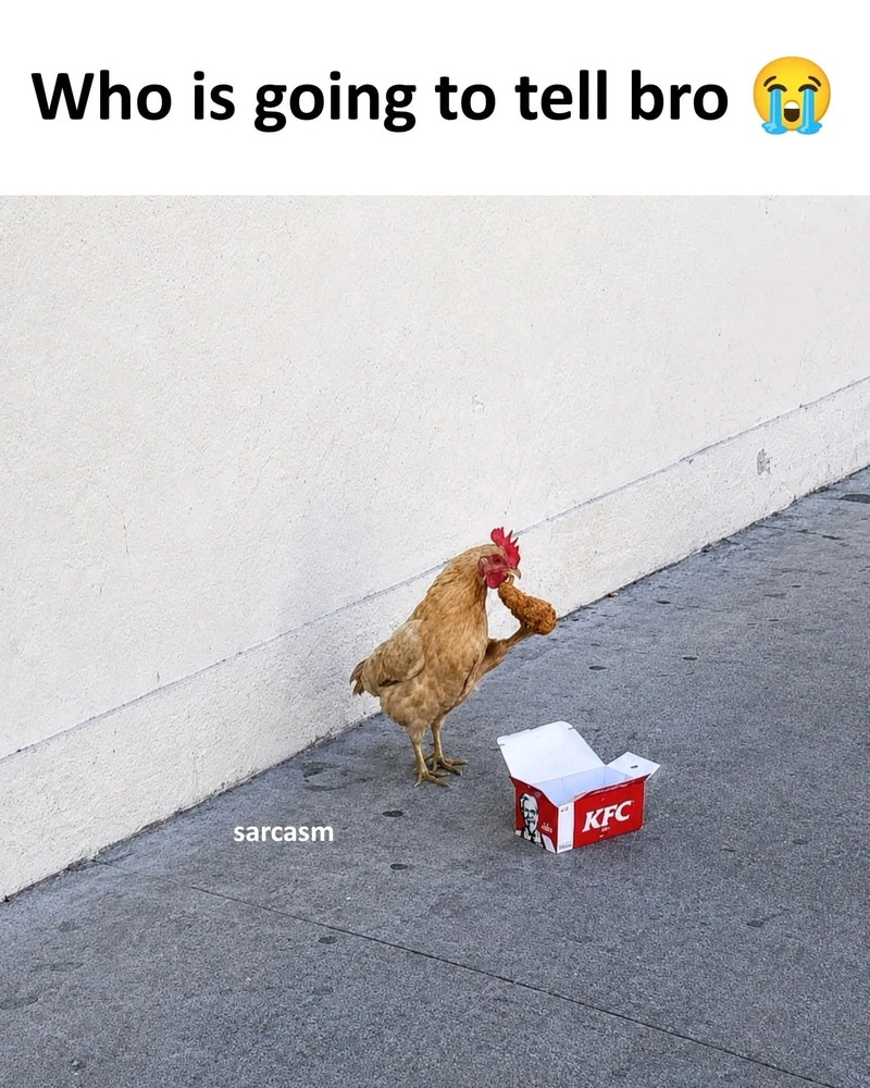 GIF הועלה על ידי Naman